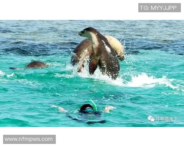 足球明星与墨镜男孩的奇妙邂逅瞬间捕捉青春活力与梦想的交汇点